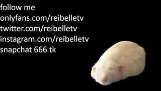 Reibelletv Oct 27, 2022 15:55 pm webcam show. Duration 01:28:56 - CamShows.tv