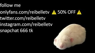Reibelletv Nov 20, 2022 05:41 am webcam show. Duration 00:21:06 - CamShows.tv