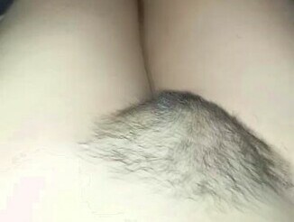 FlaviaGatinhax